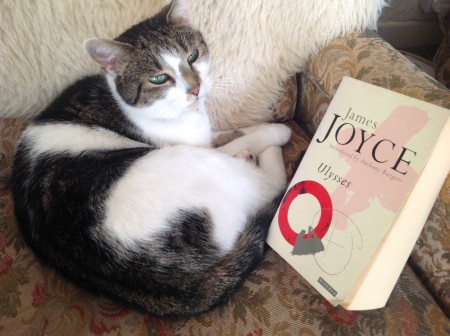 Photo of a cat lying besides the book Ulysses by James Joyce